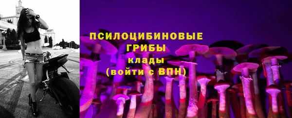 мдма Каменка