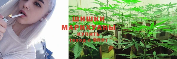 COCAINE Белокуриха